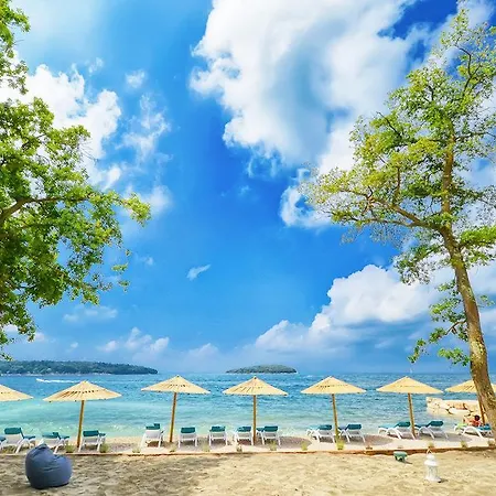 Dubravka 1 푼타나